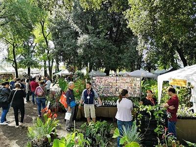 25 anni di Murabilia, appuntamento con una delle più importanti manifestazioni di giardinaggio