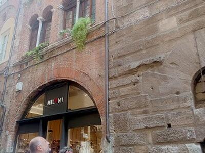 Luminara più suggestiva con nuovi telai aderenti all'architettura degli edifici e nuovi lumini a led con luce più calda