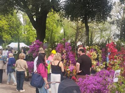 VerdeMura saluta le 20 mila presenze e rinnova l'appuntamento per i 25 anni di Murabilia