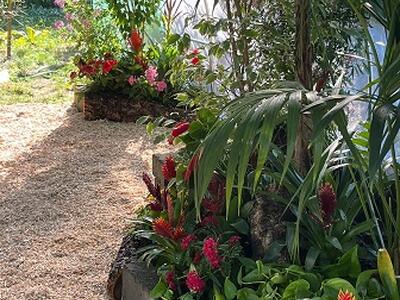 25 anni di Murabilia: torna una delle più importanti manifestazioni italiane del giardinaggio di qualità
