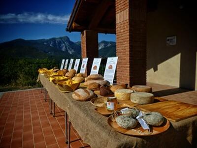 La Via dei Pani delle Apuane: a Careggine il pane diventa viaggio nella memoria della Garfagnana