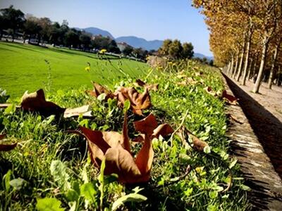Trekking Urbano, Lucca celebra gli 800 anni di San Francesco con un itinerario tra arte, natura e spiritualità