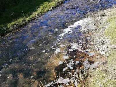 Monsagrati, quel terribile odore dal torrente Freddana