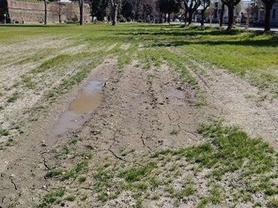 Ex Campo balilla, Amici di Lucca e dei suoi paesi: “Sarebbe questo il ripristino, dopo dieci mesi?”