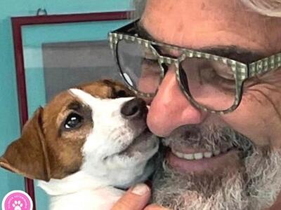 I forasacchi nel cane: pericoli e prevenzione