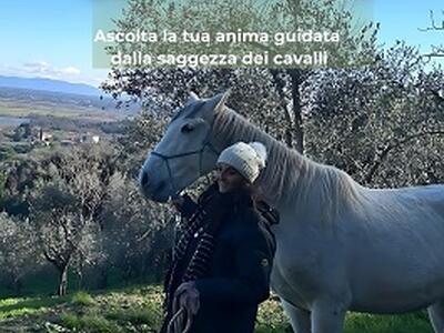 'A fianco del cavallo': il libro di Valentina Parissi che rivoluziona il rapporto tra uomo e natura