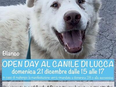 Domenica 21 dicembre Open day al Canile di Pontetetto: il Comune di Lucca promuove una giornata dedicata all'adozione e alla tutela degli animali