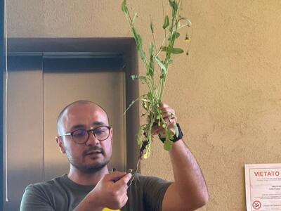 Incontri conoscitivi per tutti, grandi, piccoli e famiglie sulle piante spontanee commestibili: tutto pronto alla Tenuta Dello Scompiglio