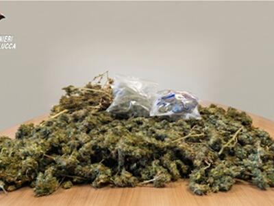 Arrestato dai carabinieri un 32 enne con una serra indoor di marijuana