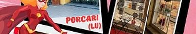 Porcari, torna la mostra delle vetrine e scatta la collaborazione con Lucca Comics
