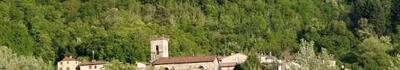A San Romano arriva la prima edizione della Festa della Patata