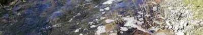 Monsagrati, quel terribile odore dal torrente Freddana