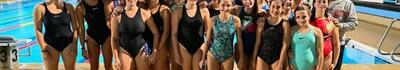 Nuoto, Pietro Casali attacca duramente il sindaco Pardini: "Ci mette i bastoni tra le ruote perché il Circolo Nuoto Lucca non fa parte degli 'amici'"