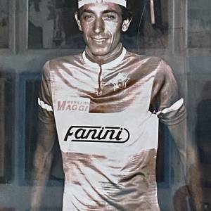 Fanini 7