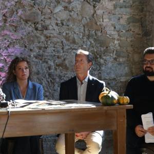 200740ff-05a3-4394-a714-5dc591c9413a