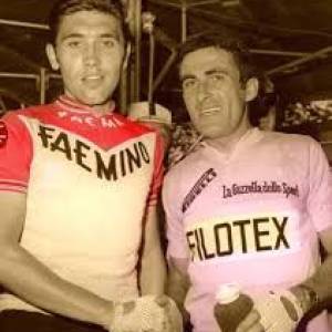 10. Bitossi in maglia rosa e Merckx