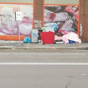 Immagine WhatsApp 2025-10-24 ore 10.17.11_cdcf2731