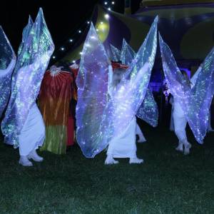 31544d87-4931-4f34-831d-fc21d431129e