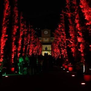 9ee8cc95-0aed-44aa-9372-b655b2f0dacd