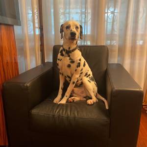 75a30f12-20b1-44a6-8025-7c0c32cfde52