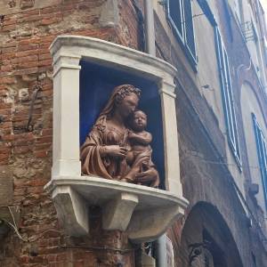 WhatsApp Image 2026-03-03 at 12.09.17