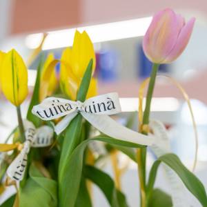 a97946da-8c63-4871-8d57-79cfb7591465