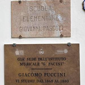 WhatsApp Image 2026-03-26 at 11.49.35 (5)