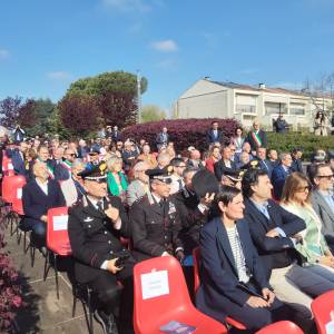 04413f19-af65-4203-ac56-9c1079af67f6