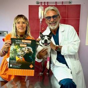 e1fce317-782a-4931-9a5b-a1301f7482f4