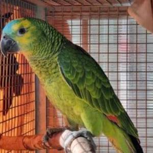 0317904e-143e-42c0-8125-3e2530d849b8